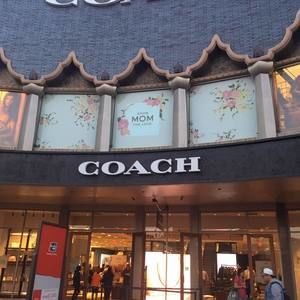 Meet your Posher, Maecy